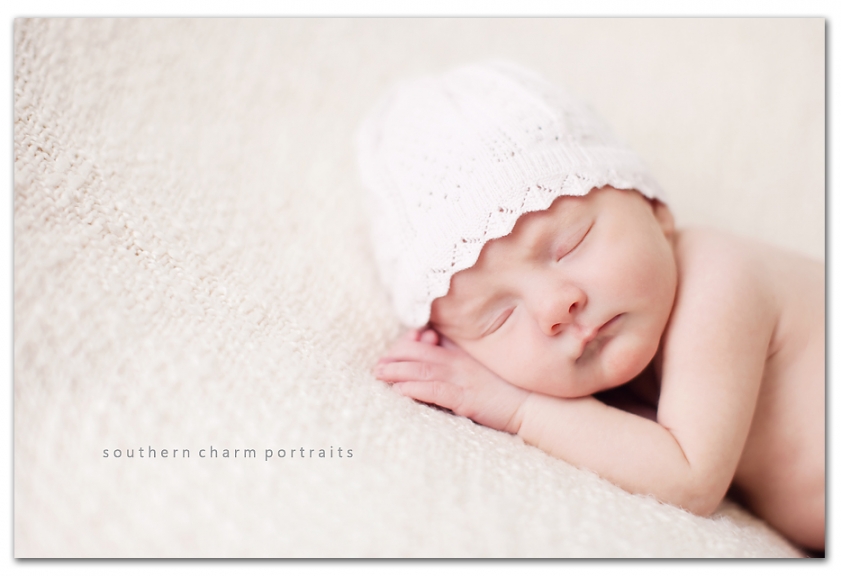 Newborn Girl Portraits