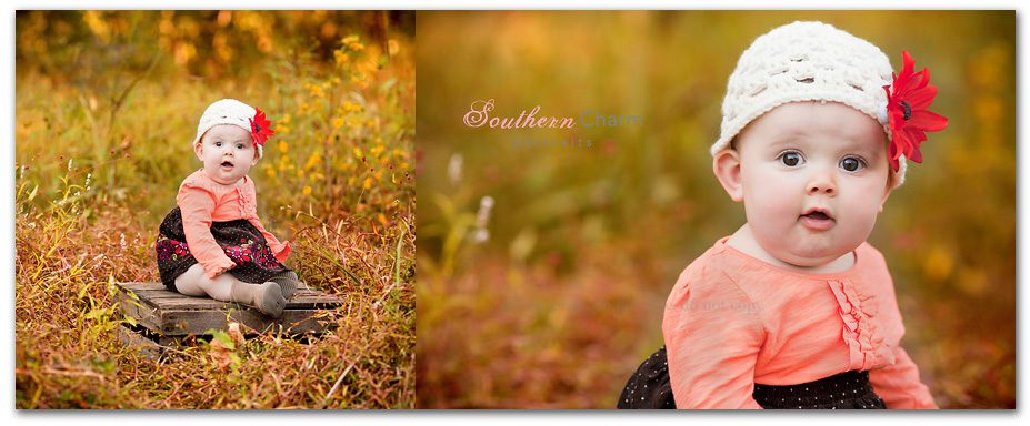 six month old on baby plan fall portraits at cove lake state park on a beautiful evening with yummy light