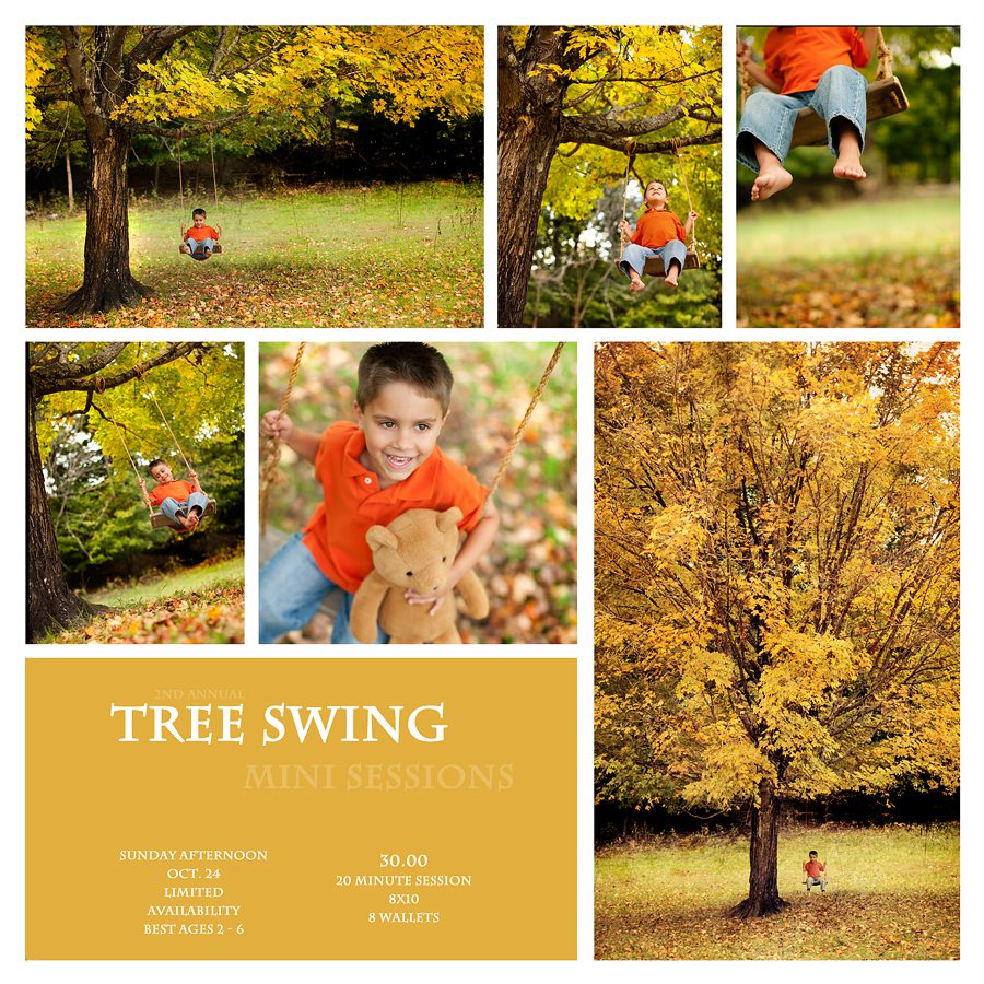 fun fall images of children playing in a tree swing, beautiful autumn colors,