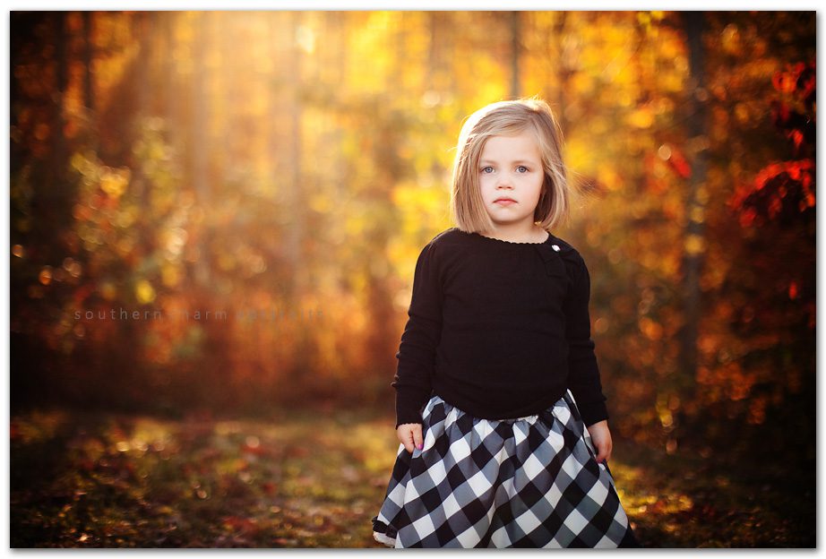 what gorgeous lighting!  love the serious look from this normally silly three year old!