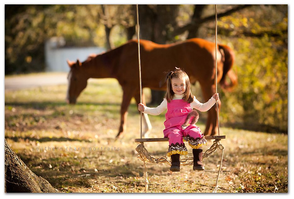 child's tree swing on farm with rodeo horse in background ground sunny afternoon on family farm