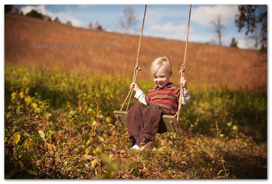 sunny day young boy swinging in tree swing with blue skies and white clouds