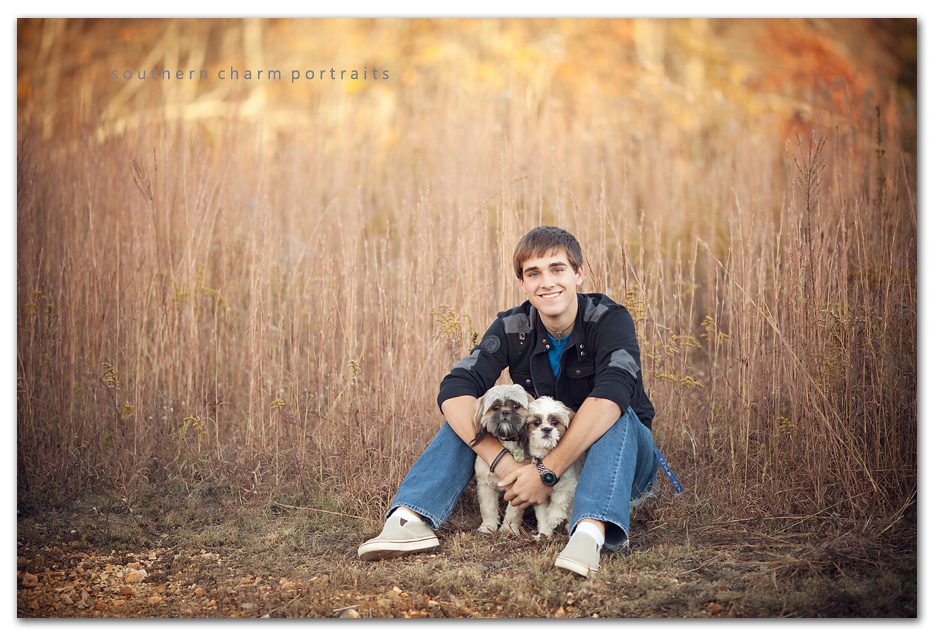 shitzus in senior pictures brown tall grass in background
