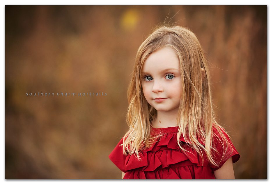 stunning blue eyed little girl with red gap christms dress