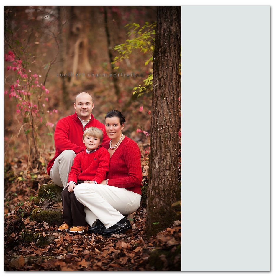 family in red sweaters in woods small son