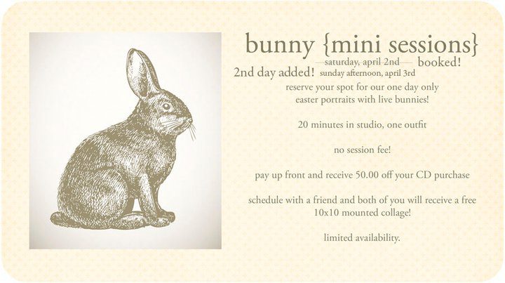 special deal for easter portraits with live bunnies in photography studio