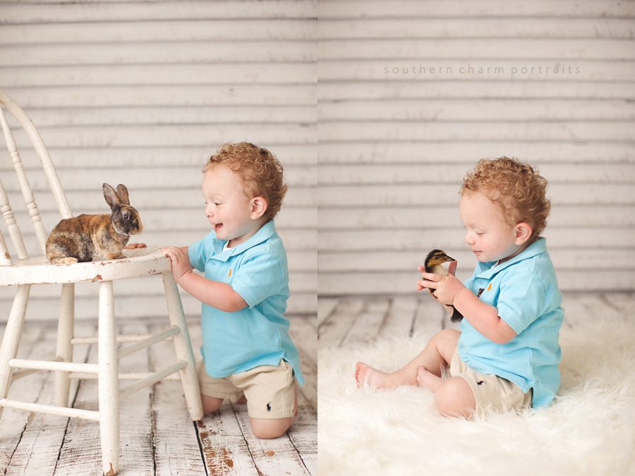 boy with bunny and duckling