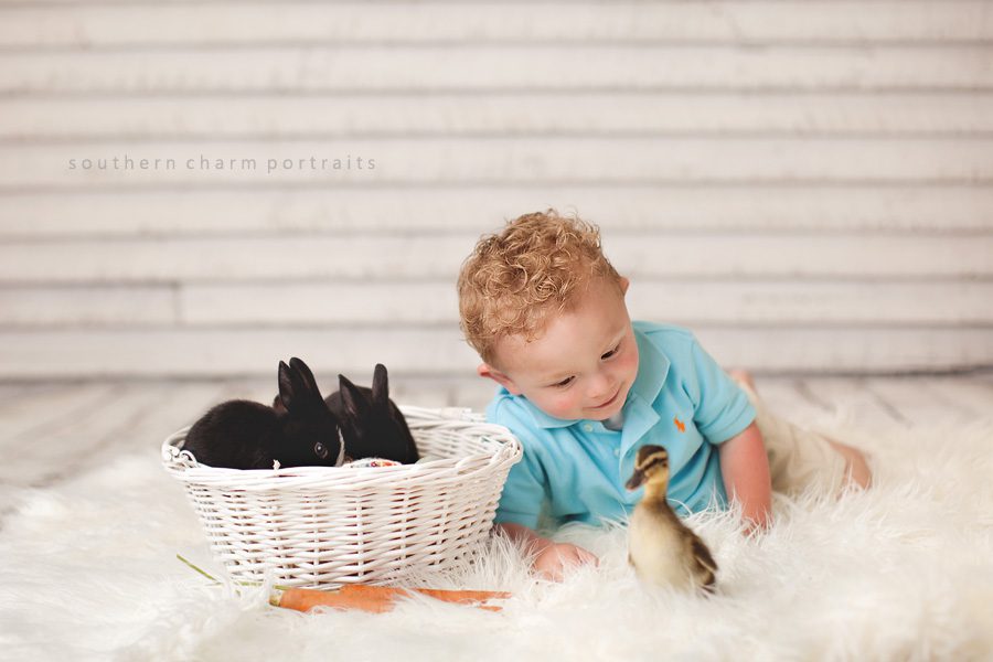 boy with bunnies and duckling