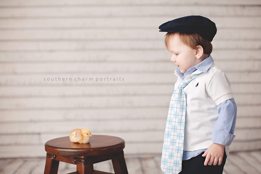 little boy in tie and hat in portrait studio