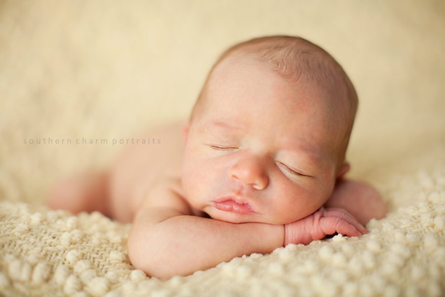 baby sleeping with head on arms on yellow blanket in portrait studio
