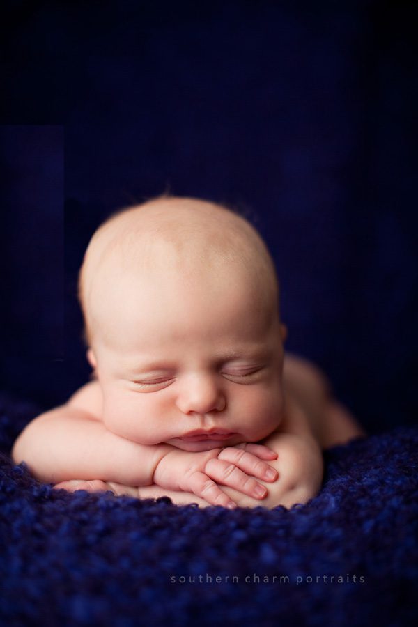 baby portraits for knoxville, tn newborn