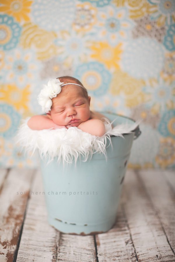 knoxville newborn pictures