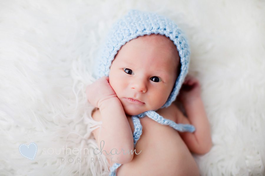 newborn portraits in knoxville, tennessee