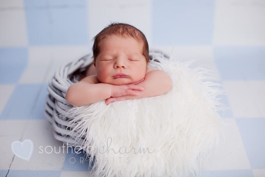 knoxville newborn portraiture