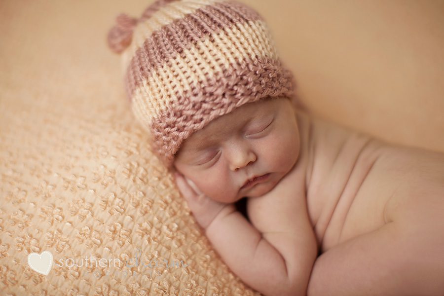 knoxville newborn photographers