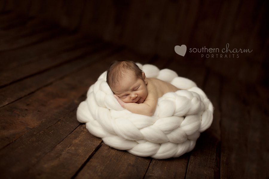 knoxville tn newborn pictures