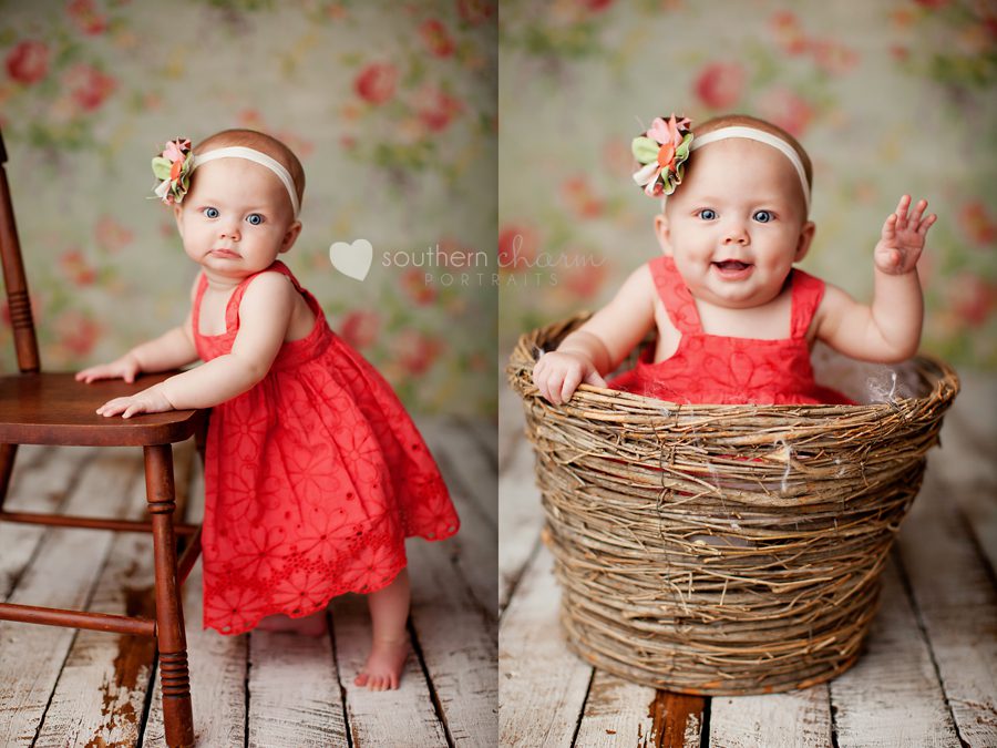 knoxville baby photography