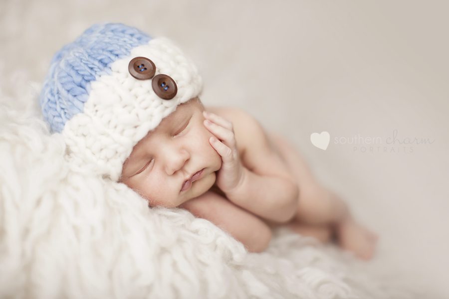 knoxville tn newborn pictures