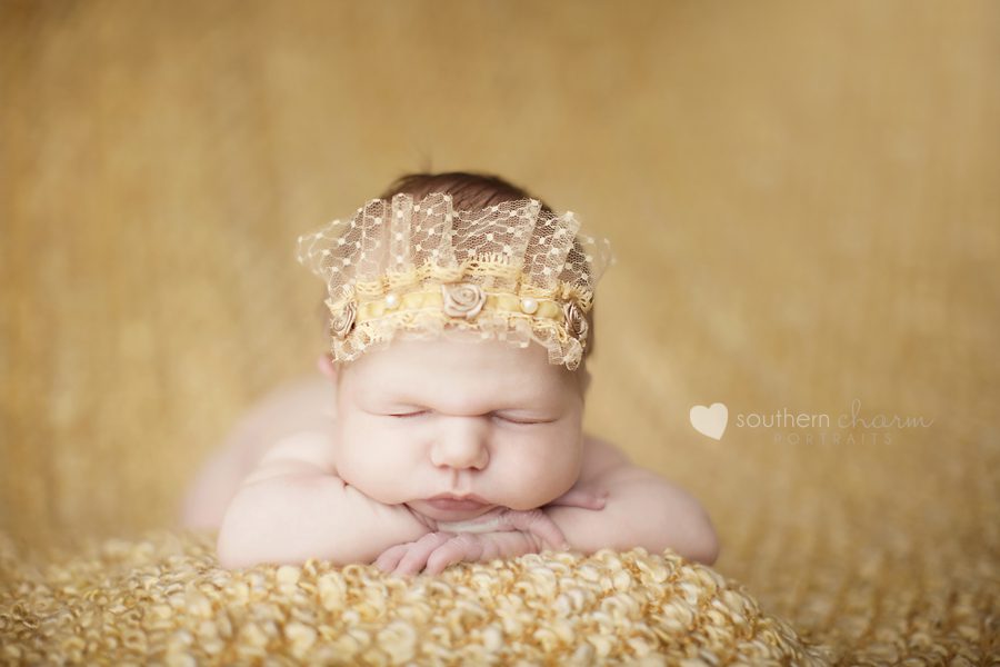 knoxville newborn photographers