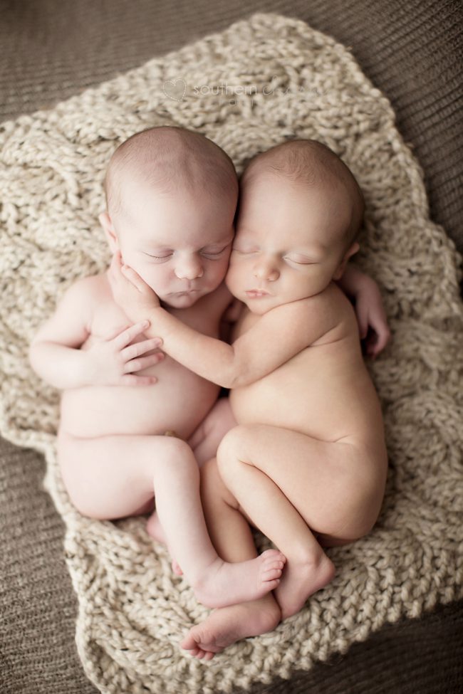 modern newborn photography in knoxville twins