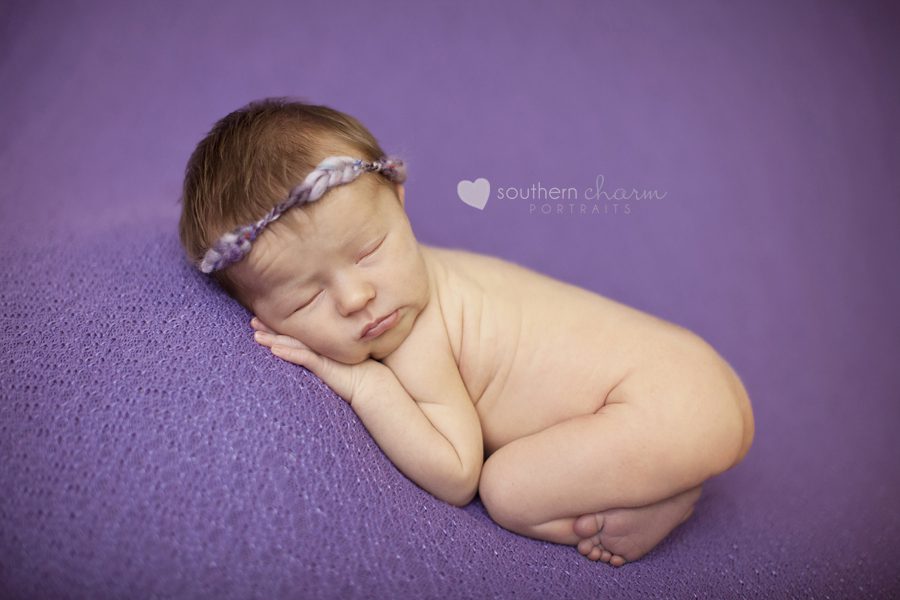 maternity and newborn photographer in knoxville, tn