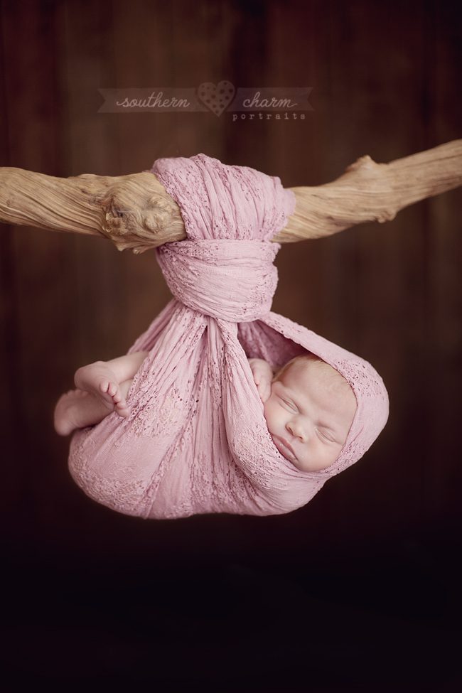 modern newborn photography in knoxville twins