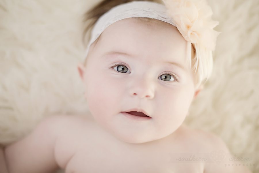 modern baby's photographer knoxville tn
