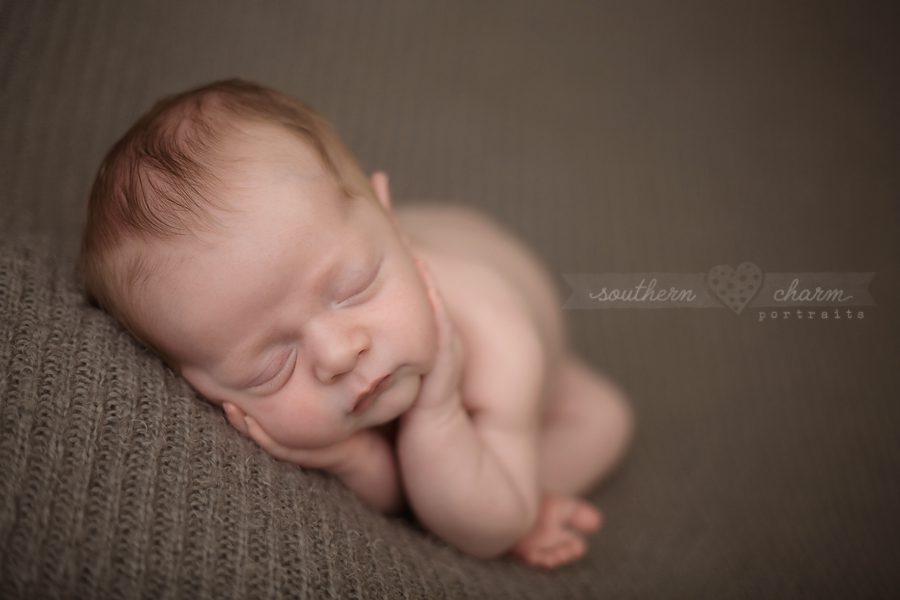 tn newborn photography