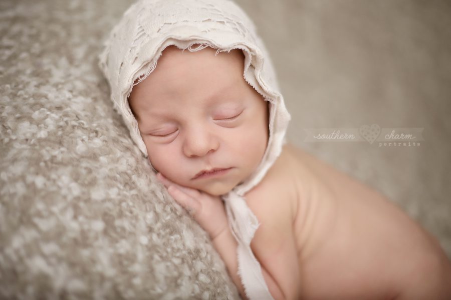 knoxville tn newborn photographer