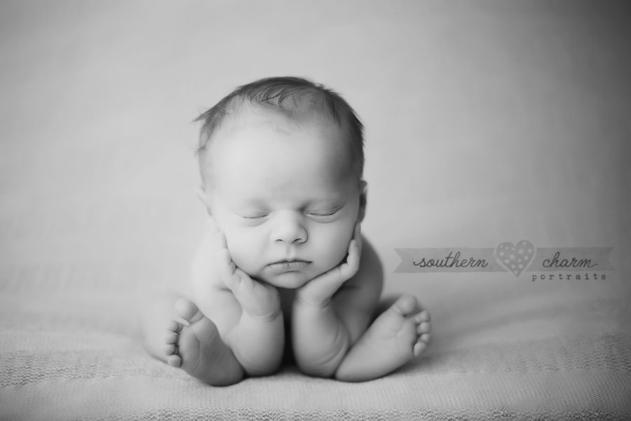 knoxville tn newborn photographer