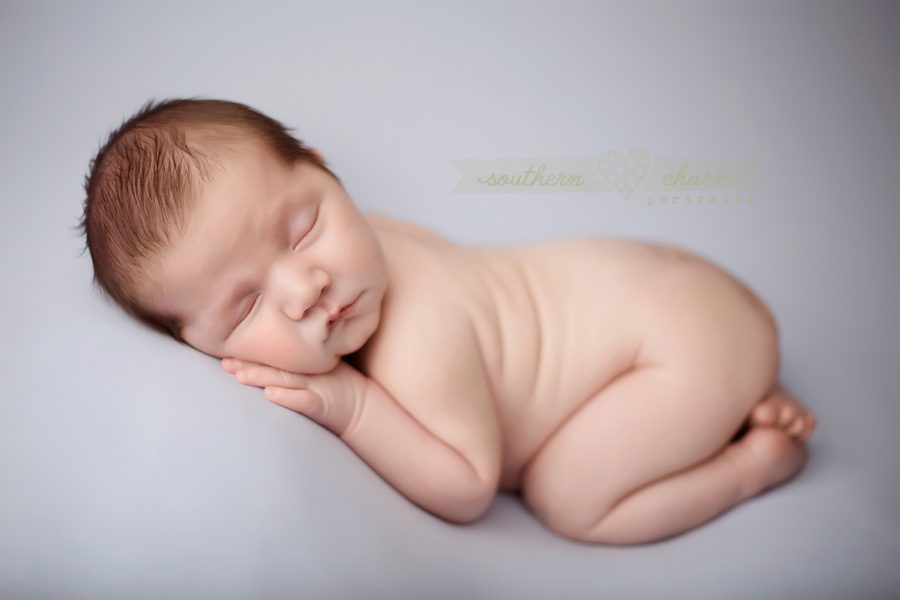 newborn tn newborn portraits