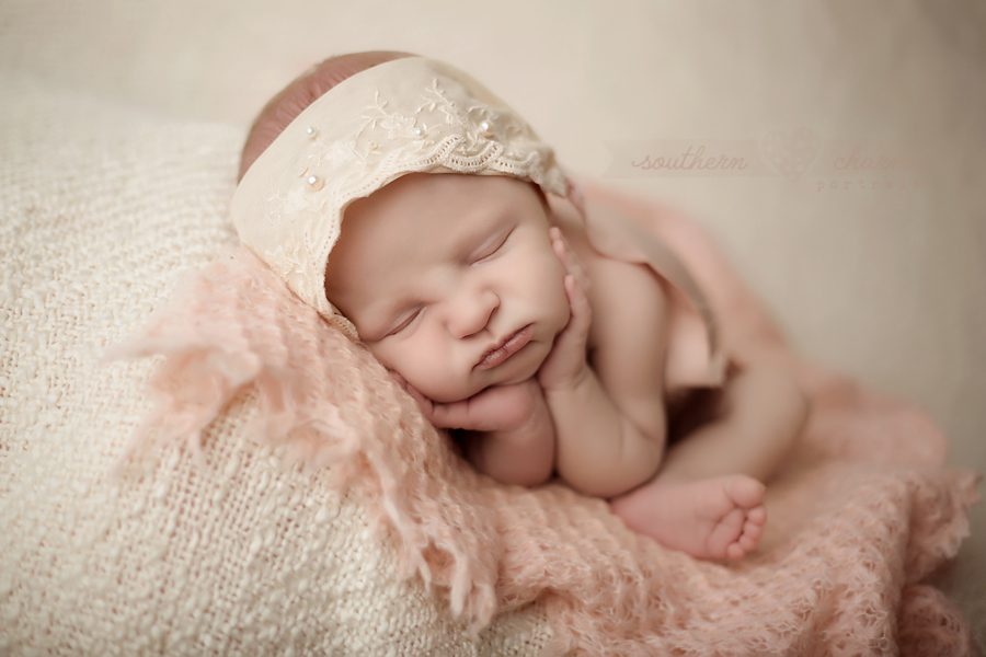 newborn tn newborn portraits