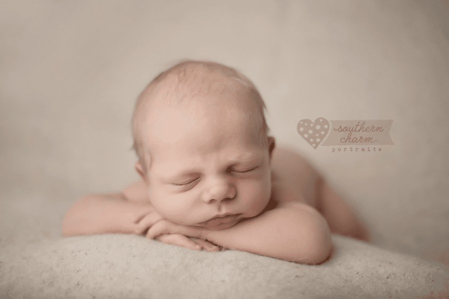newborn baby photographer in knoxville, tn
