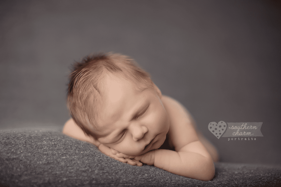 newborn photography in knoxville, tennessee