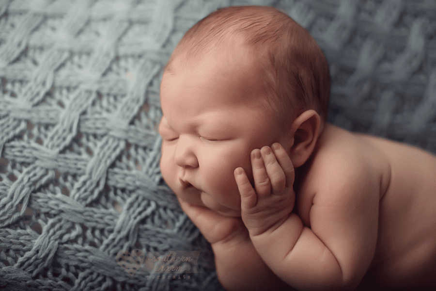 newborn photographers in knoxville