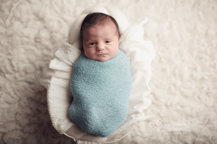 knoxville newborn baby pictures