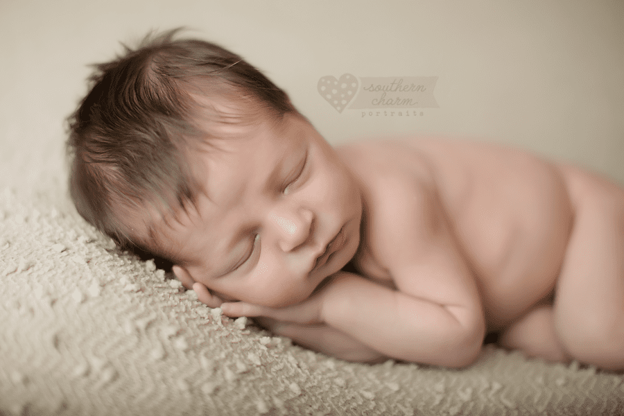 baby photography knoxville