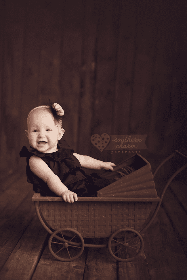 knoxville tn photography for baby