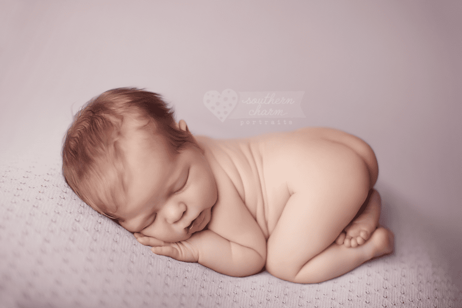 newborn photography in knoxville