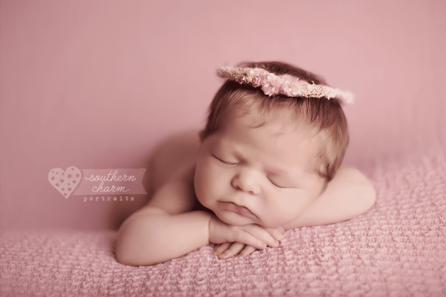best newborn photographer in knoxville, tn