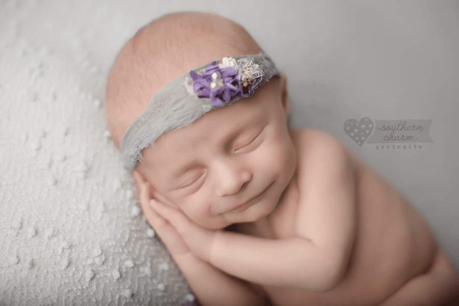 knoxville newborn pictures