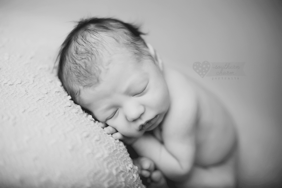 newborn photographer in knoxville, tn