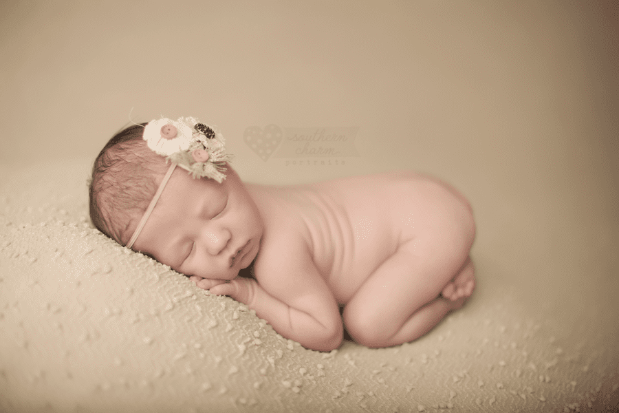 knoxville tn photography newborns