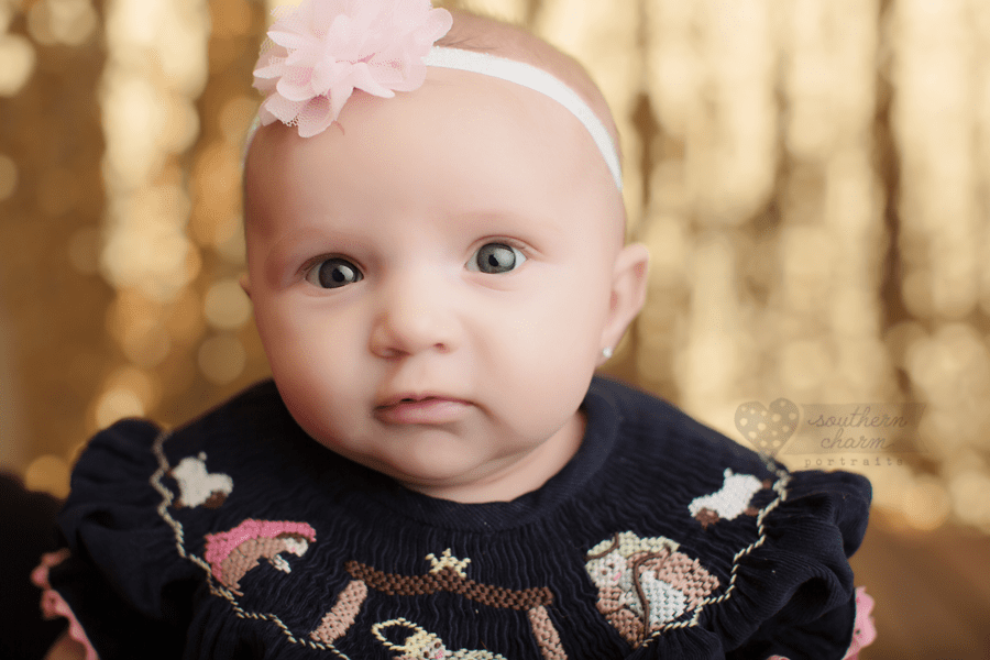knoxville tn baby portraits