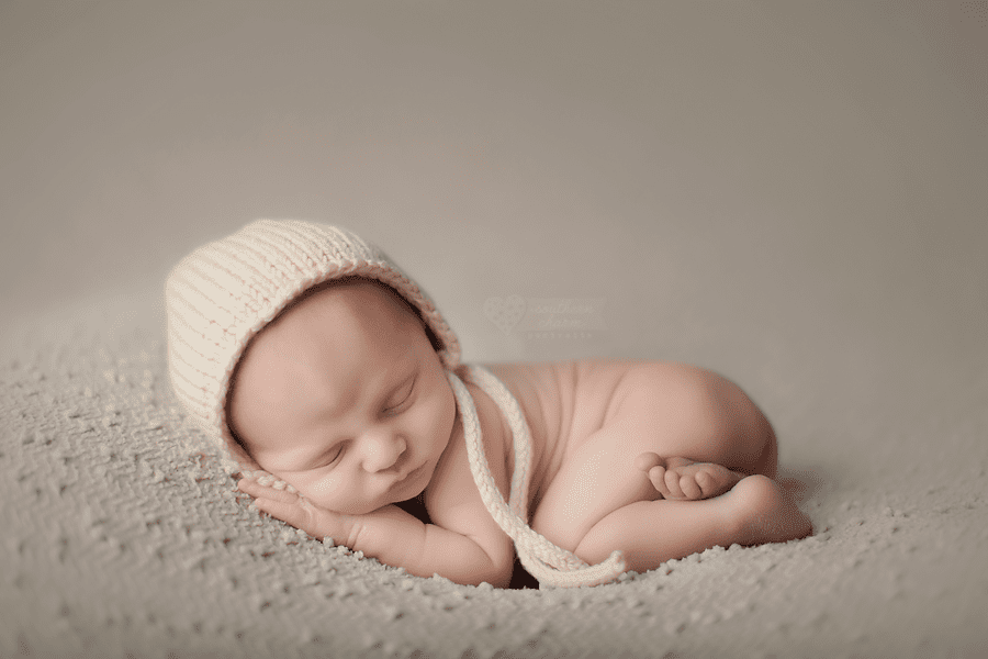 newborn pictures knoxville tn