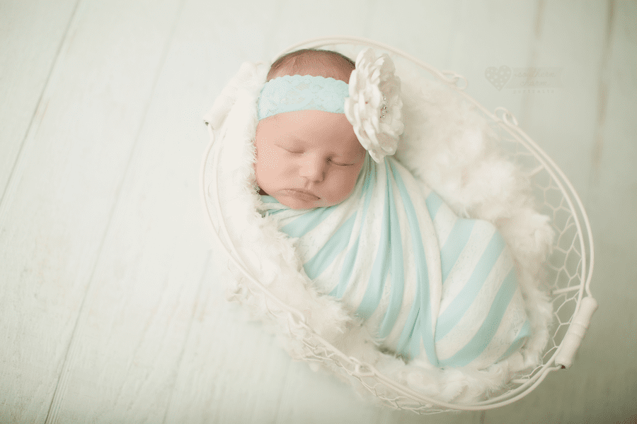 newborn photography studio knoxville