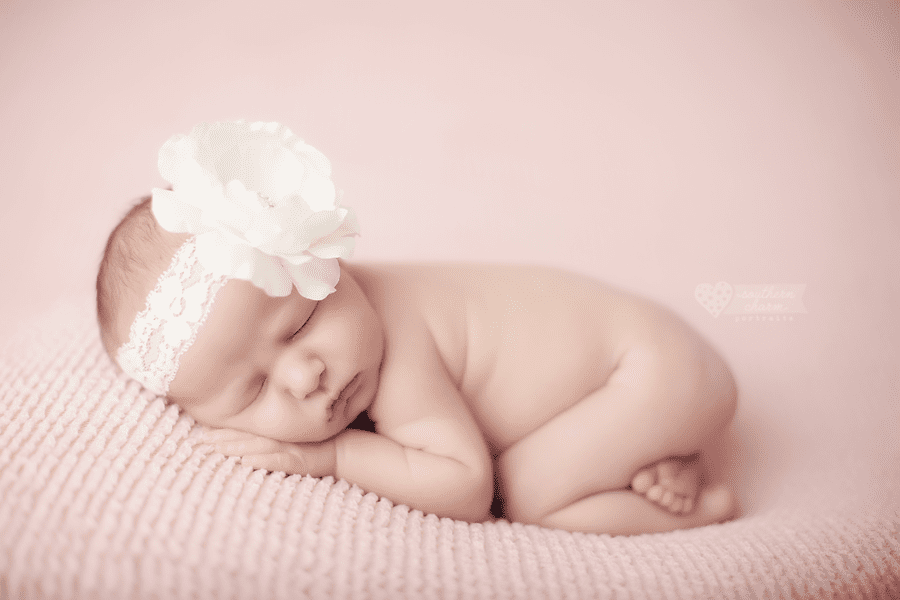 knoxville tn family newborn photography