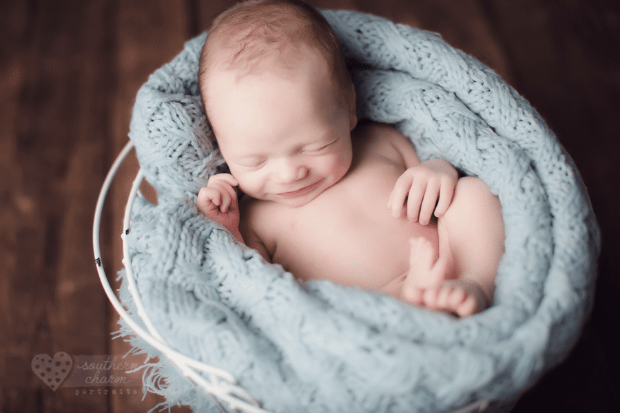 knoxville tn baby newborn photography