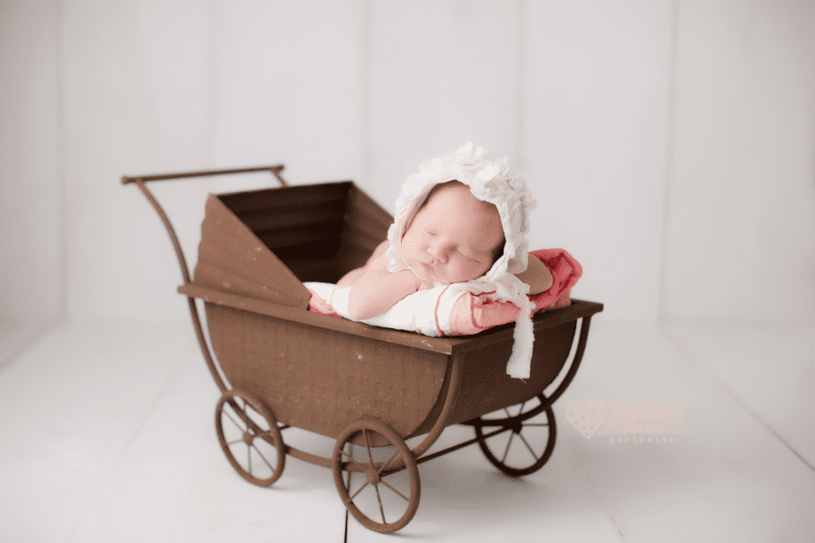knoxville cedar bluff farragut newborn photographer