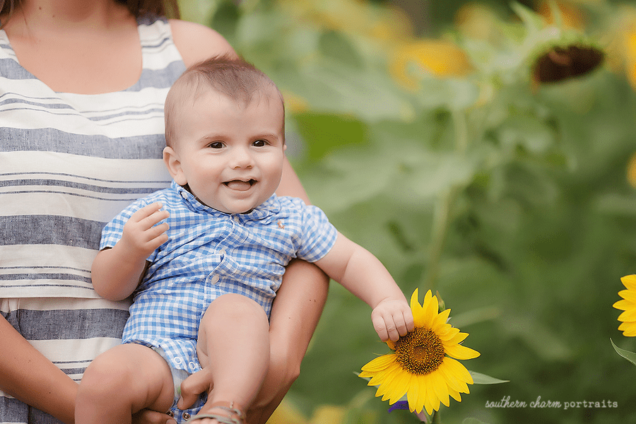knoxville Tn family photography